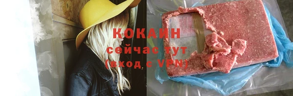 крисы Няндома