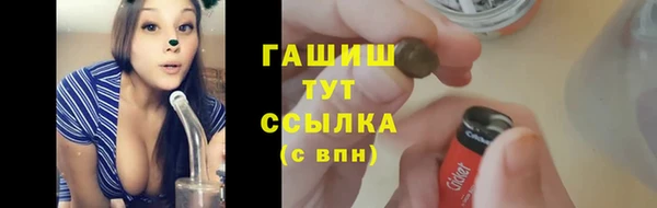 крисы Няндома