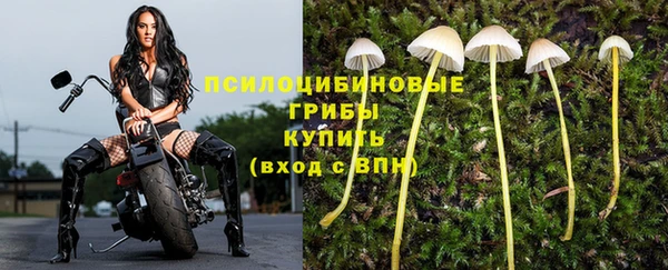 крисы Няндома