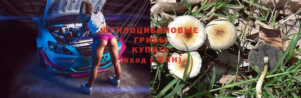 крисы Няндома