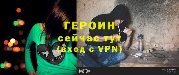крисы Няндома