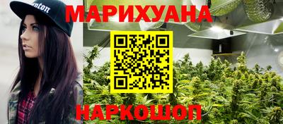 мяу мяу мука Моздок