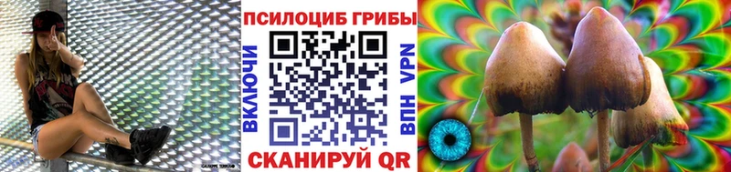 магазин  наркотиков  Павловский Посад  Галлюциногенные грибы Magic Shrooms 